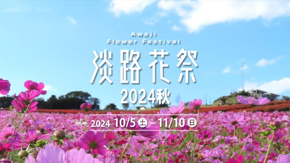 淡路花祭2024秋　コスモス　バラ　花