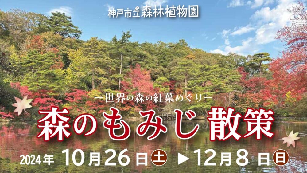 森林植物園 紅葉 ライトアップ