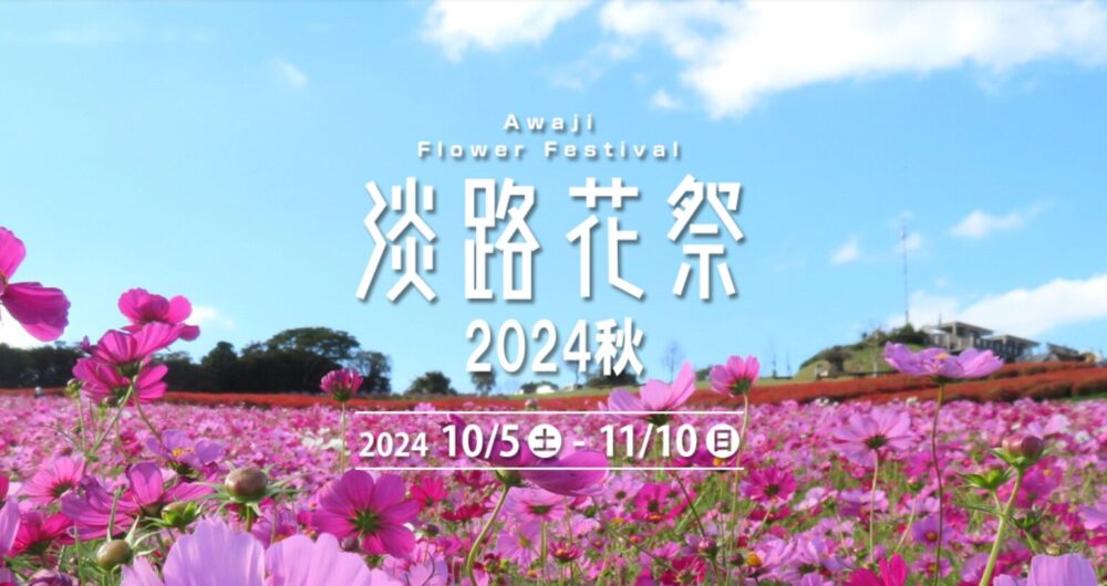 淡路花祭2024秋　コスモス　バラ　花