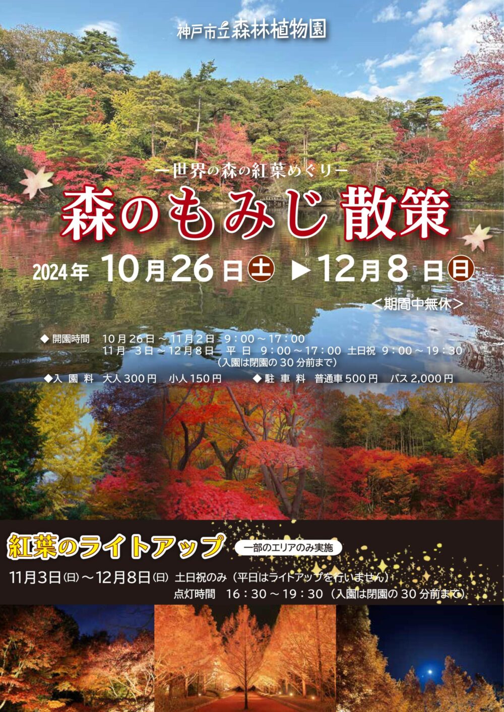 森林植物園 紅葉 ライトアップ