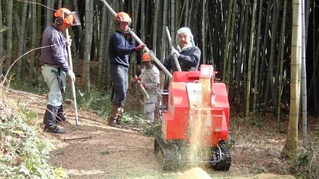 多井畑 竹林整備 体験