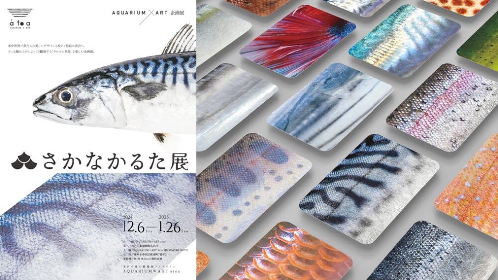 水族館 atoa さかなかるた展 さかなかるた大会