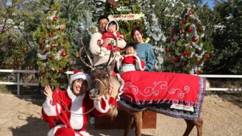神戸どうぶつ王国 王国のMerry Christmas クリスマス