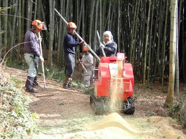 多井畑 竹林整備 体験