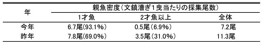 兵庫県 明石市 播磨灘 いかなご イカナゴ シンコ 