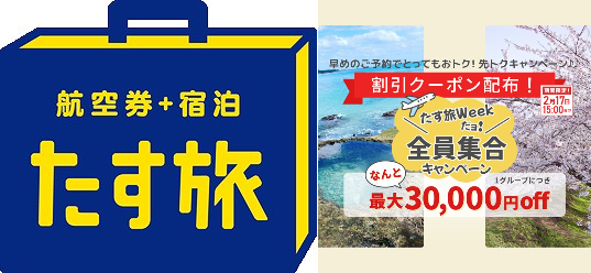 スカイマーク 飛行機 旅行 観光 ビジネス ツアー スカイステイション 神戸空港 中部国際空港 セントレア