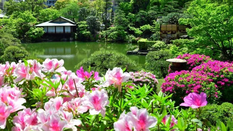 県庁前 神戸 日本庭園 相楽園 ツツジ つつじ遊山 ジャズライブ お茶席 イベント