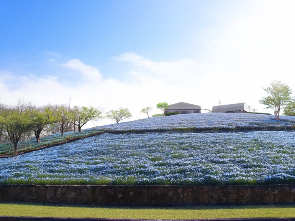 旧農業公園 神戸ワイナリー こうべアグリパーク リニューアル オープン 西区 神戸