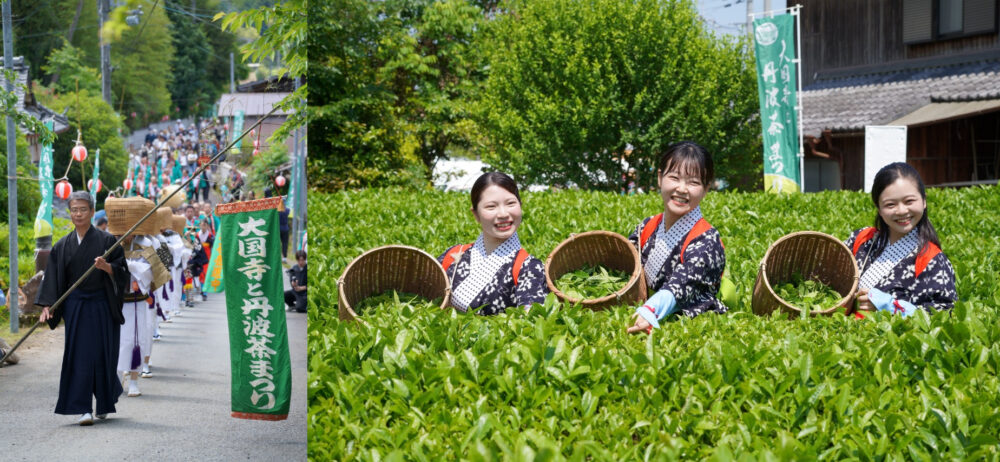 丹波篠山 丹波茶 新茶 お茶 大国寺と丹波茶まつり 茶摘み 手揉み 体験 兵庫