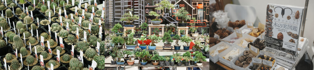 天下一植物界 in HDC神戸 植物 販売 雑貨 アクセサリー 即売会