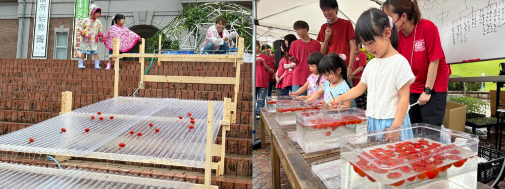 トマトサーカス 2025 道の駅 フルーツ・フラワーパーク 大沢 FARM CIRCUS 農家