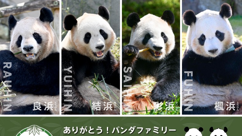 和歌山 アドベンチャーワールド ジャイアントパンダ パンダ 帰国 セレモニー イベント