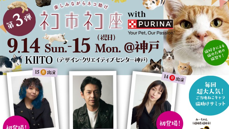 保護猫 イベント 神戸 デザイン・クリエイティブセンター神戸 KIITO ネコ市ネコ座 misono 敦士 松島花 ネコ 猫