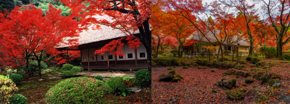阪九フェリー 九州 紅葉 耶馬溪 九年庵 御船山楽園 観光 旅行 神戸 六甲アイランド