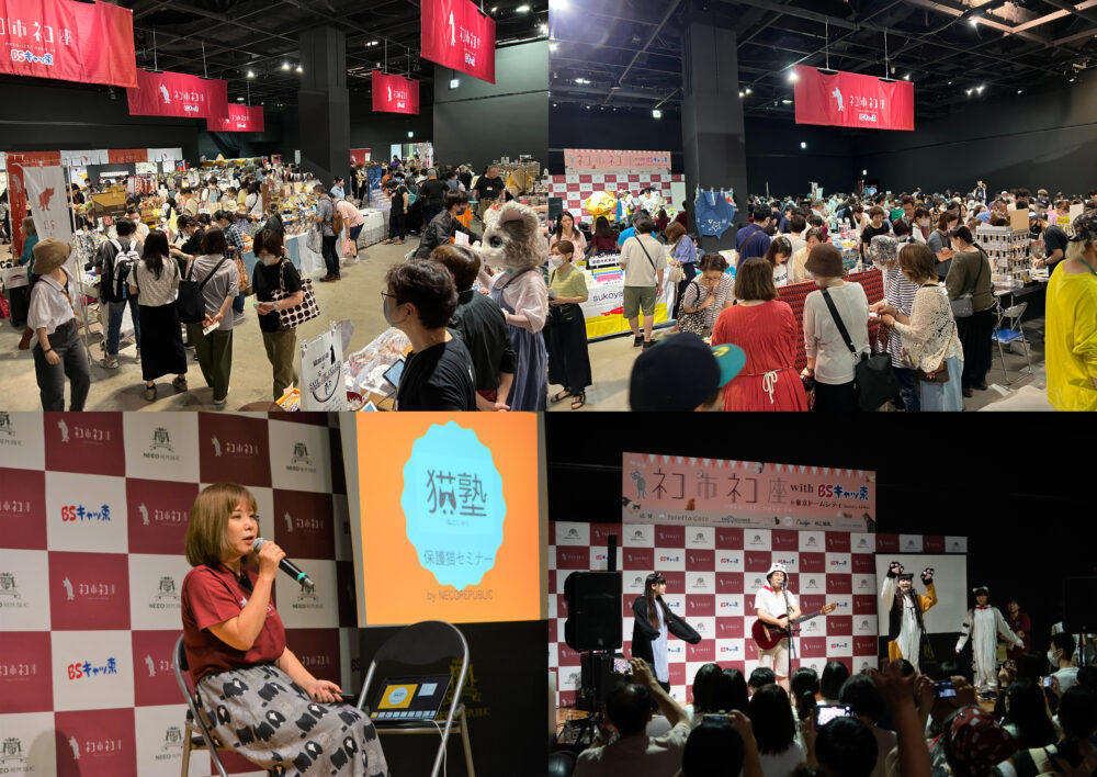 保護猫 イベント 神戸 デザイン・クリエイティブセンター神戸 KIITO ネコ市ネコ座 misono 敦士 松島花 ネコ 猫