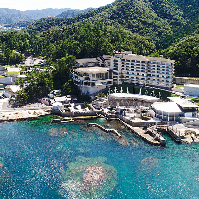兵庫 豊岡 水族館 城崎マリンワールド トド 鰭脚類 世界初 人まね 論文 研究 動物