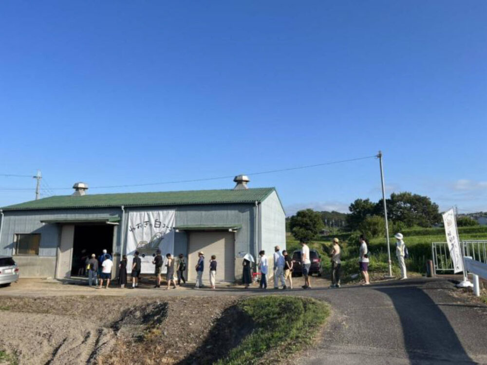 西区 押部谷 Kobayashi farm ねおきの白コーン ホワイトコーン