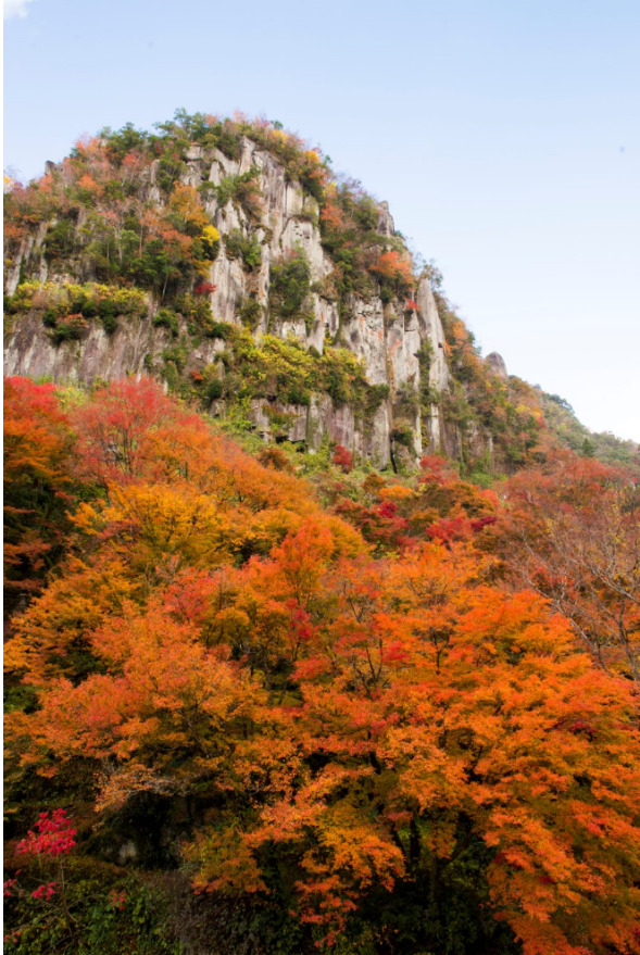 阪九フェリー 九州 紅葉 耶馬溪 九年庵 御船山楽園 観光 旅行 神戸 六甲アイランド