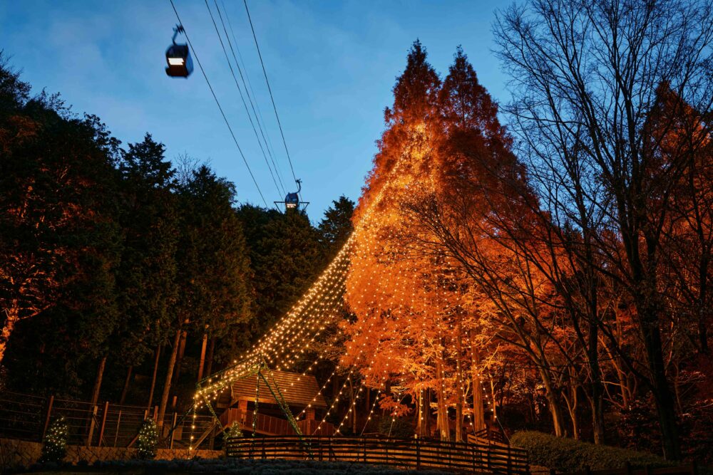神戸布引ハーブ園 新神戸 神戸 北野 クリスマスマーケット クリスマス イルミネーション ライトアップ クリスマスツリー
