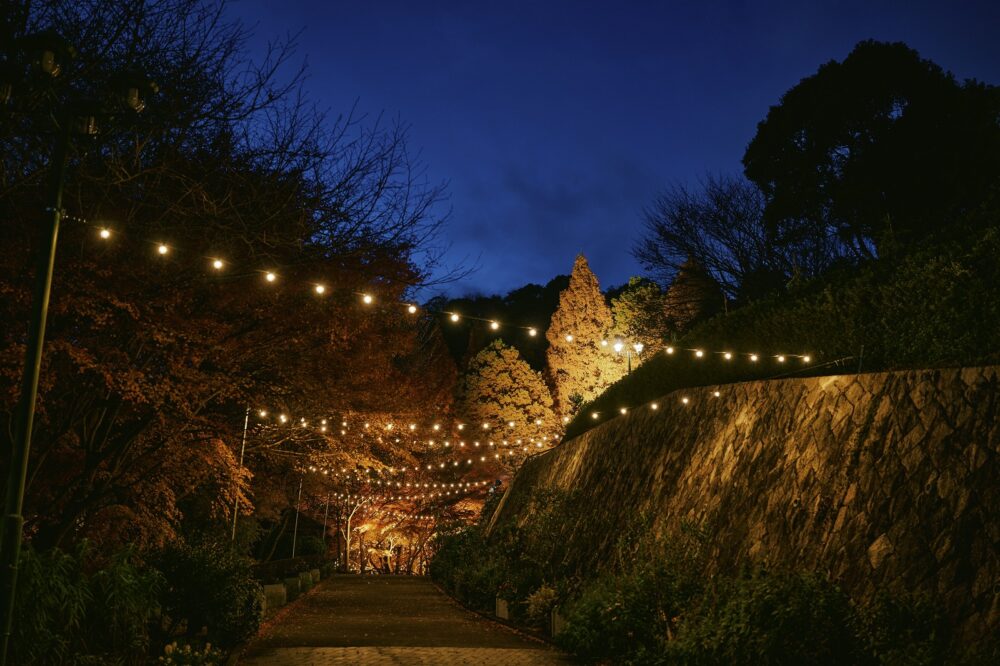 神戸布引ハーブ園 新神戸 神戸 北野 クリスマスマーケット クリスマス イルミネーション ライトアップ クリスマスツリー