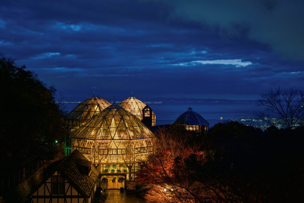 神戸布引ハーブ園 新神戸 神戸 北野 クリスマスマーケット クリスマス イルミネーション ライトアップ クリスマスツリー