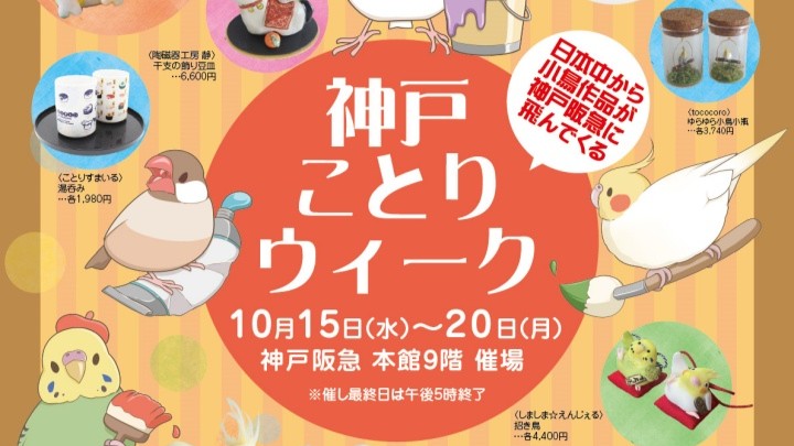 神戸ことりウィーク 小鳥 鳥 ことり 神戸阪急 イベント 神戸どうぶつ王国 ハシビロ王