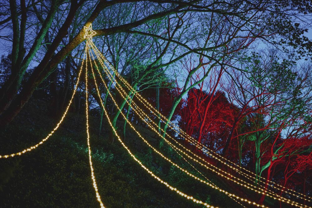 神戸布引ハーブ園 新神戸 神戸 北野 クリスマスマーケット クリスマス イルミネーション ライトアップ クリスマスツリー