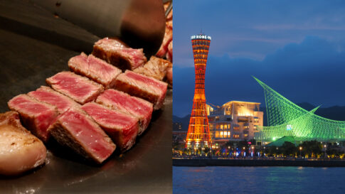 神戸空港 国際便 国際チャーター便 調査 動向 韓国 台湾 中国 神戸