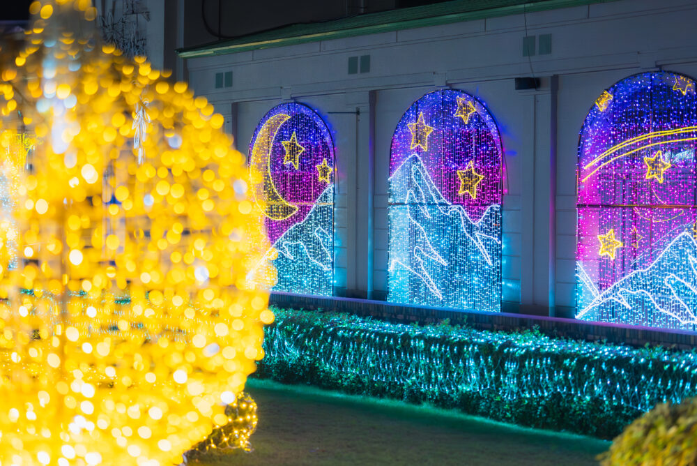 道の駅 フルーツ・フラワーパーク大沢 神戸イルミナージュ 神戸 イルミネーション イベント カウントダウン 