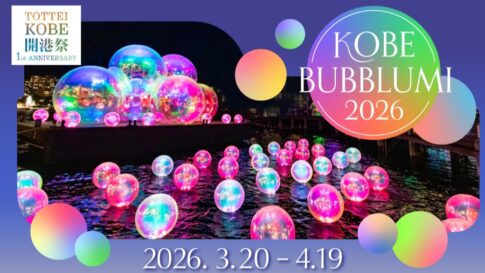 TOTTEI ジーライオンアリーナ神戸 神戸 マリーナ バブルアート イルミネーション 神戸バブルミ