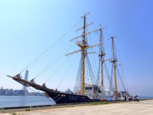 瀬戸内海 スナメリ イルカ クジラ 瀬戸内海スナメリフェスティバル 神戸港 神戸 BLUE OCEAN みらいへ