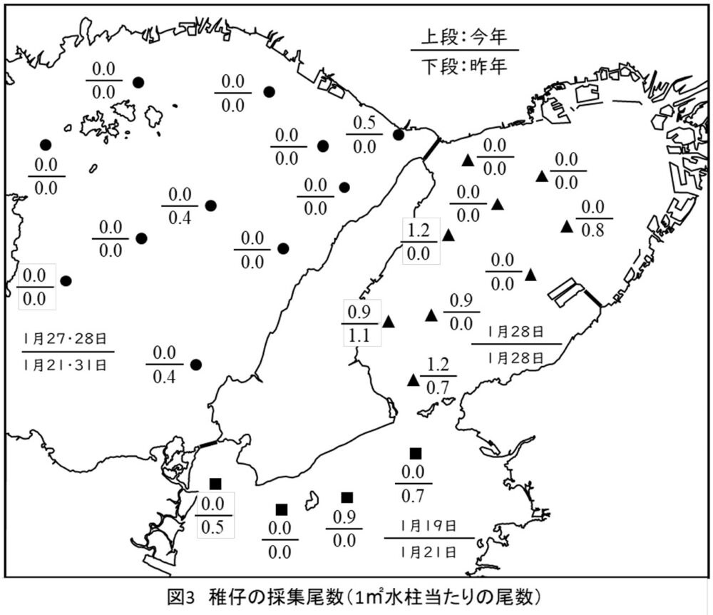イカナゴ シンコ 漁況 予報 兵庫 播磨灘