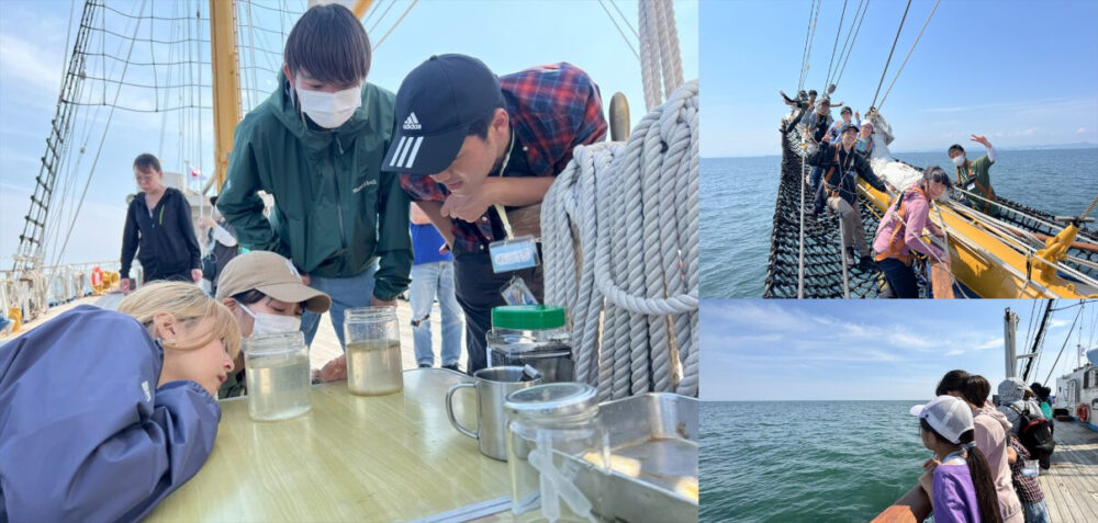 瀬戸内海 スナメリ イルカ クジラ 瀬戸内海スナメリフェスティバル 神戸港 神戸 BLUE OCEAN みらいへ