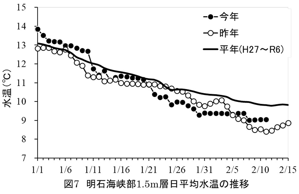 イカナゴ シンコ 漁況 予報 兵庫 播磨灘