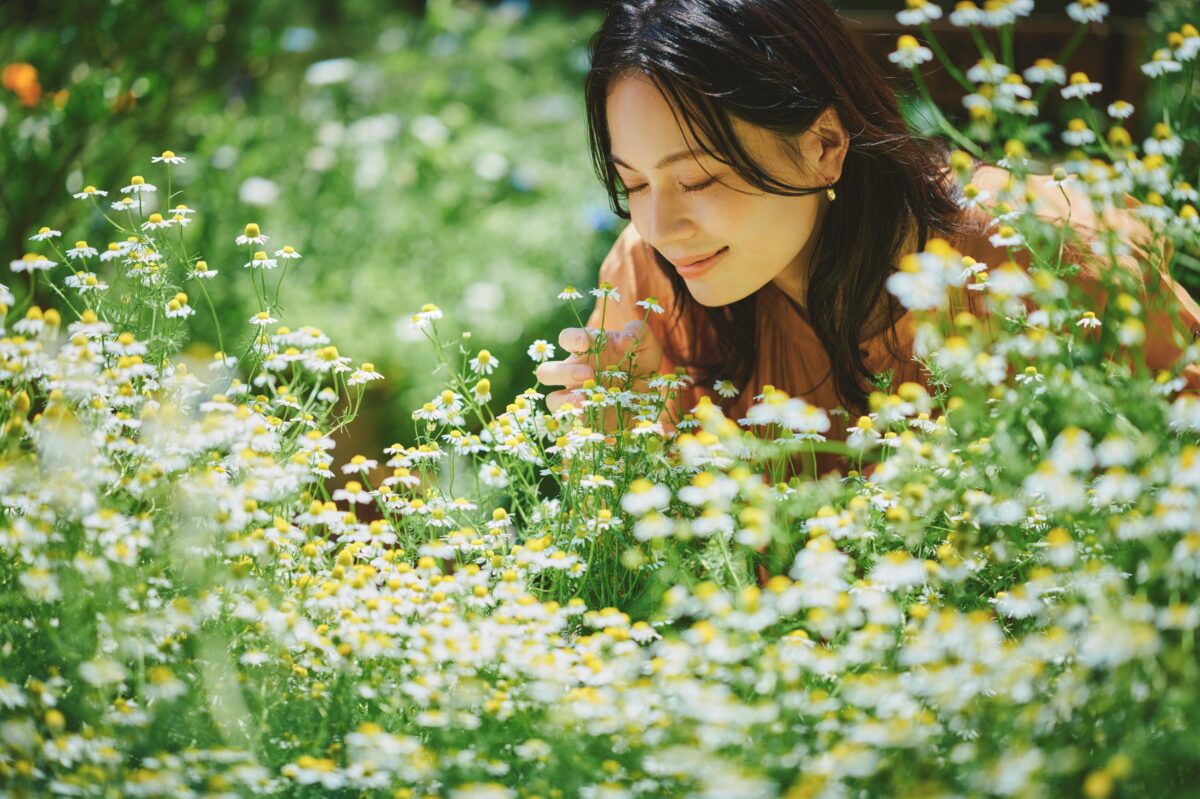 神戸布引ハーブ園 ガーデンフェスト 2026 春 Garden Fest 新神戸 神戸