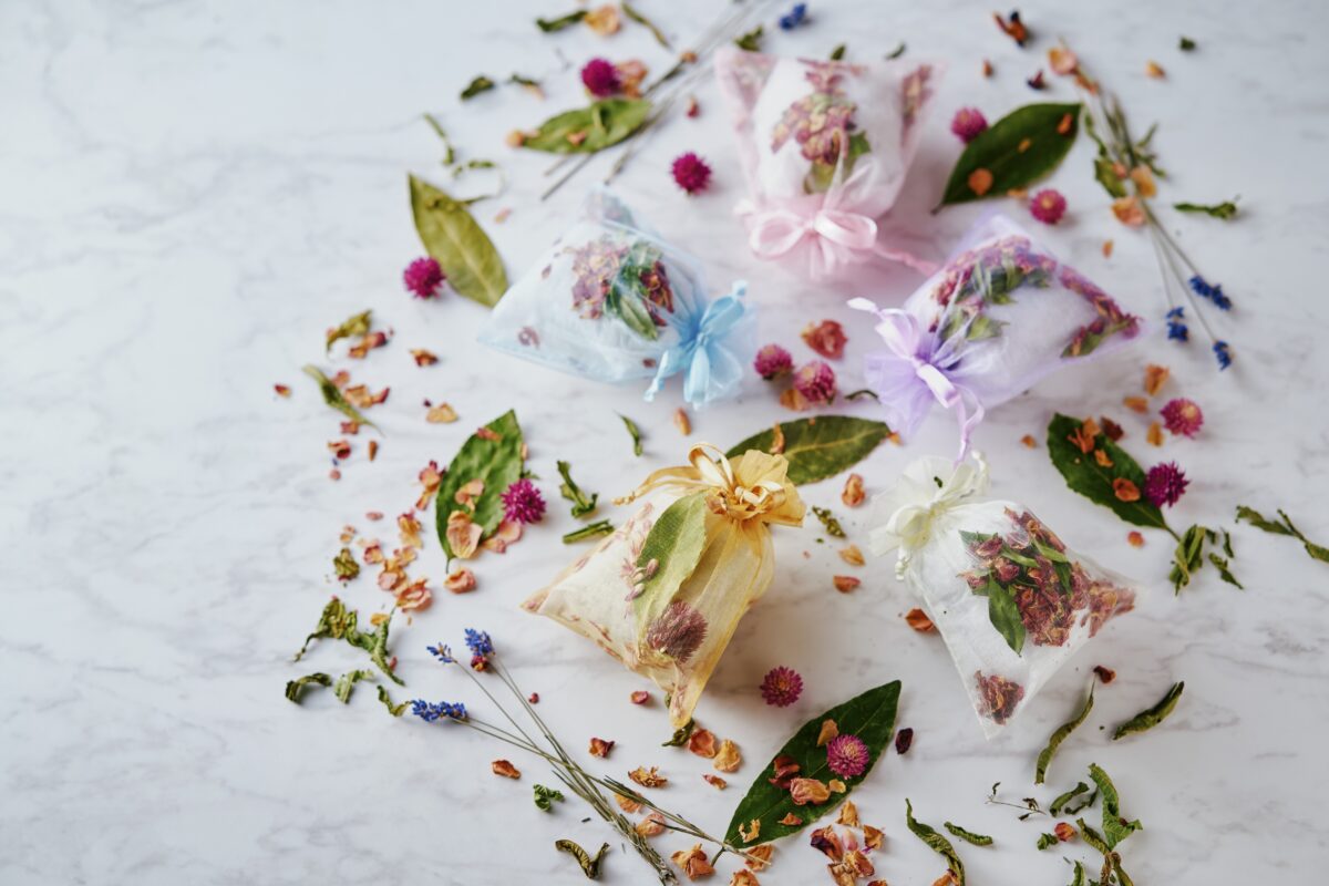 神戸布引ハーブ園 ガーデンフェスト 2026 春 Garden Fest 新神戸 神戸