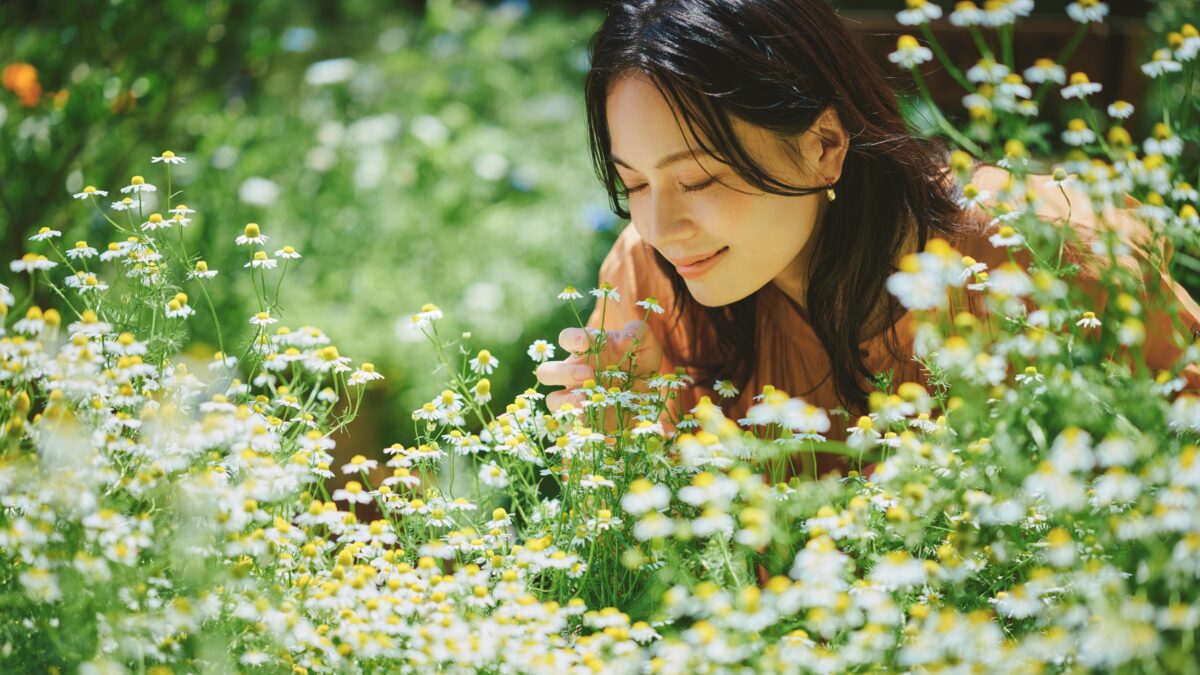 神戸布引ハーブ園 ガーデンフェスト 2026 春 Garden Fest 新神戸 神戸