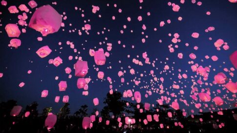 ランタンフェス 大阪 岸和田 夜桜 イベント