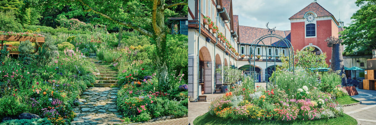 神戸布引ハーブ園 ガーデンフェスト 2026 春 Garden Fest 新神戸 神戸