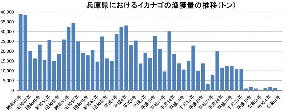 兵庫県 イカナゴ いかなご シンコ漁 播磨灘 大阪湾