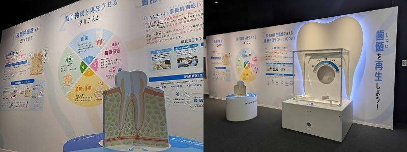 バンドー神戸青少年科学館 ポーアイ 青少年科学館 リニューアル オープン 神戸 ポーアイ