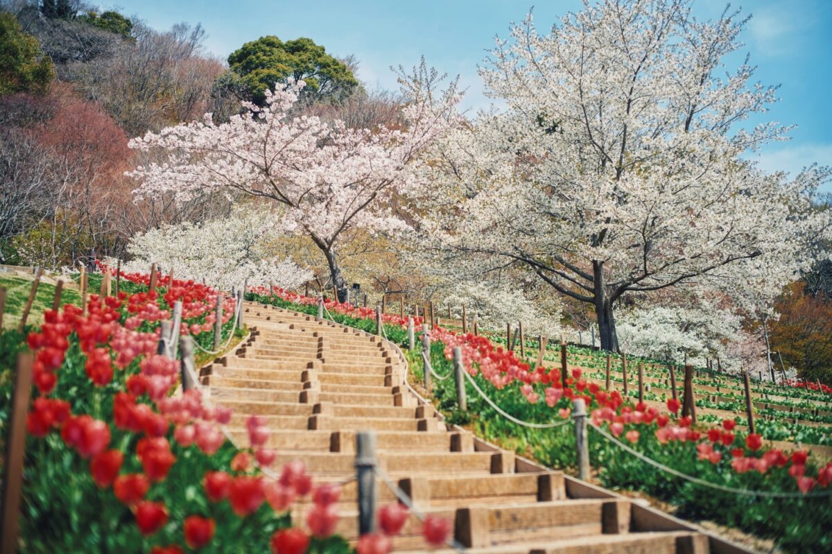 神戸布引ハーブ園 ガーデンフェスト 2026 春 Garden Fest 新神戸 神戸