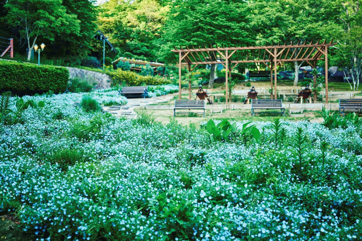 神戸布引ハーブ園 ガーデンフェスト 2026 春 Garden Fest 新神戸 神戸
