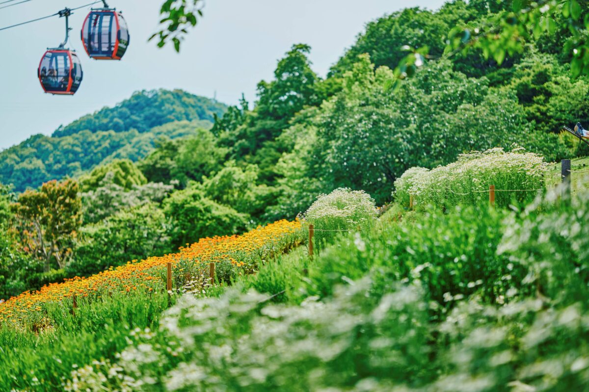 神戸布引ハーブ園 ガーデンフェスト 2026 春 Garden Fest 新神戸 神戸