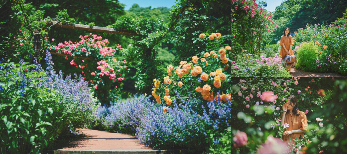 神戸布引ハーブ園 ガーデンフェスト 2026 春 Garden Fest 新神戸 神戸