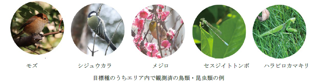 うめきたの森 グラングリーン大阪 大阪