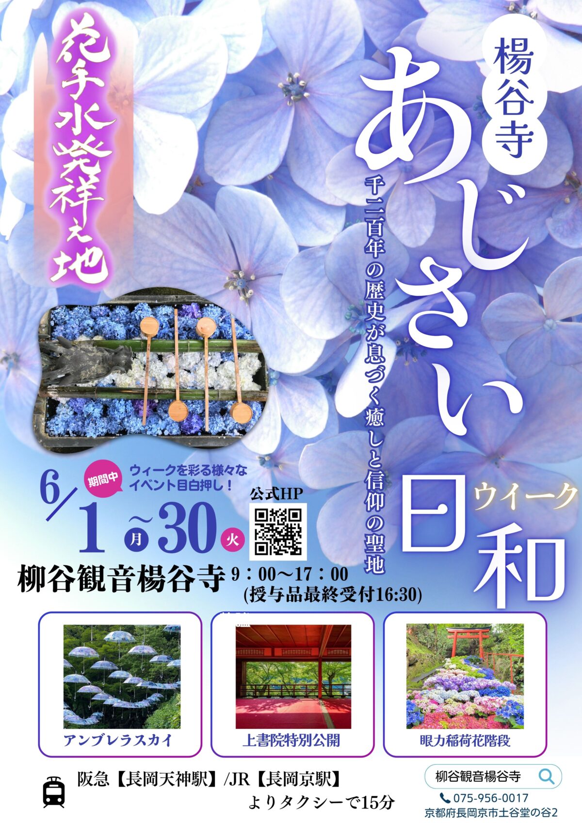 あじさい 紫陽花 アジサイ 京都 柳谷観音楊谷寺 あじさいウィーク 黒牟城 豊臣兄弟 映画 ロケ地 大河 ドラマ