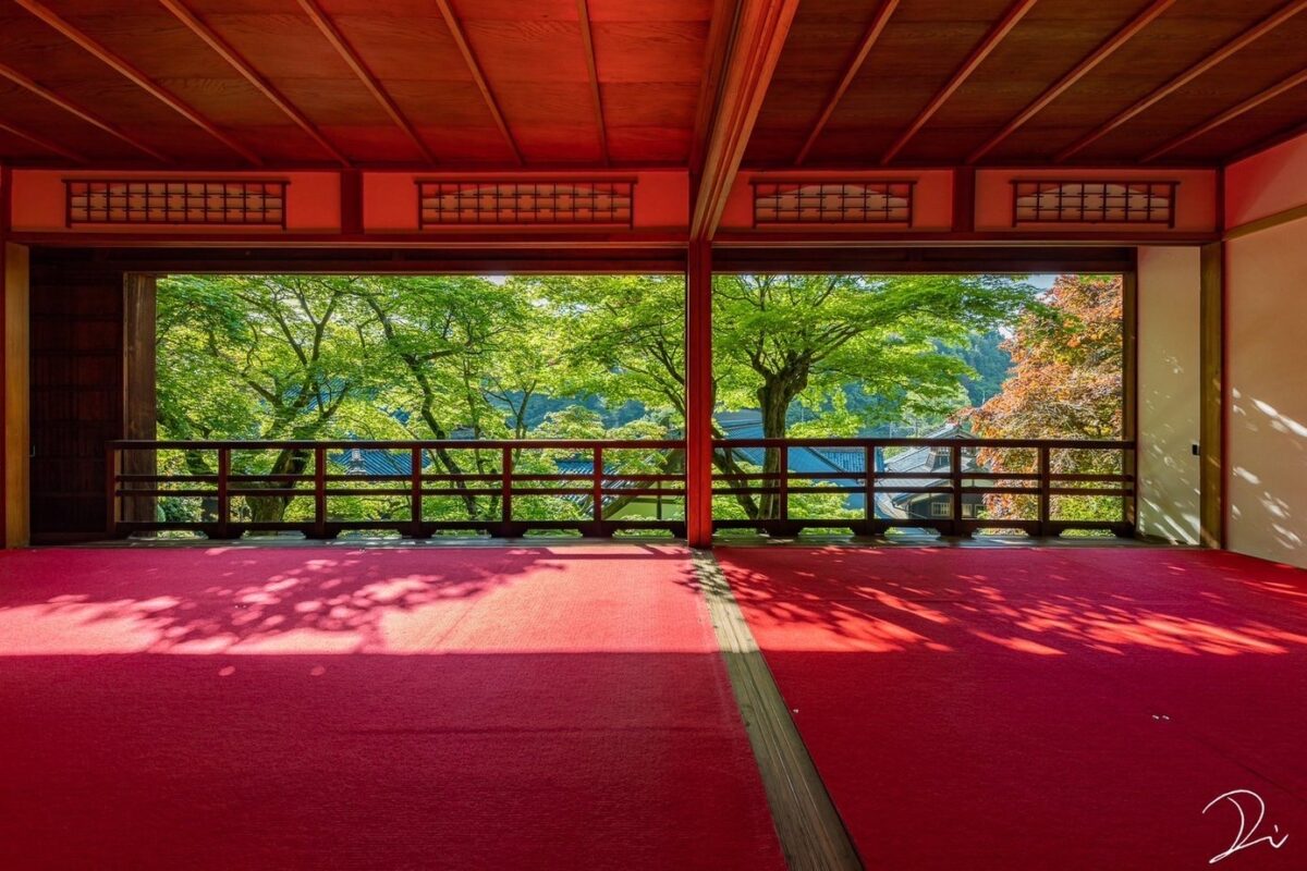 あじさい 紫陽花 アジサイ 京都 柳谷観音楊谷寺 あじさいウィーク 黒牟城 豊臣兄弟 映画 ロケ地 大河 ドラマ