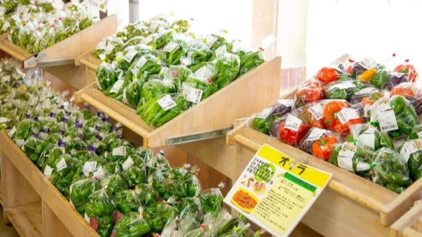 神戸市 直売所 クーポン こうべ産を食卓へ！応援クーポン