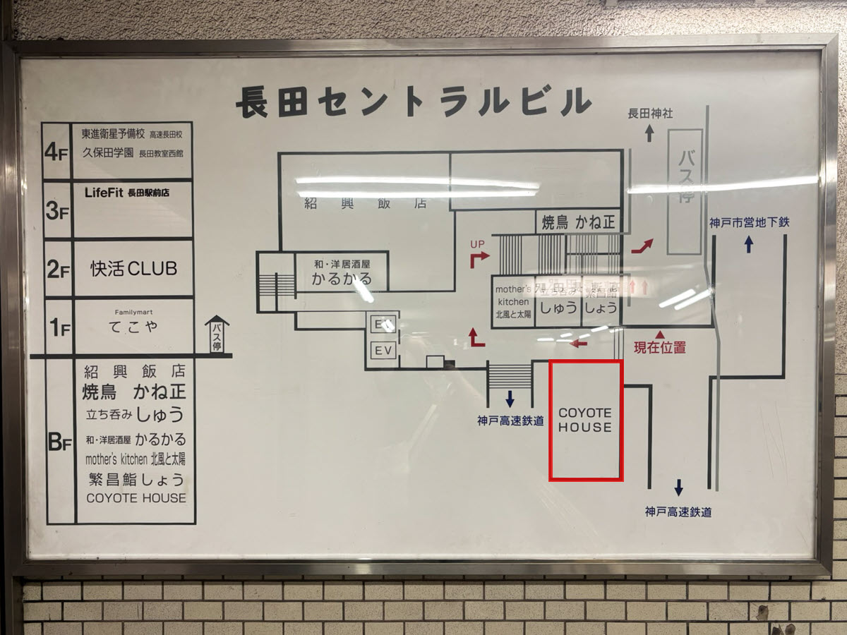 coyote house 高速長田 神戸 長田 オープン ダイニングバー カレー アート